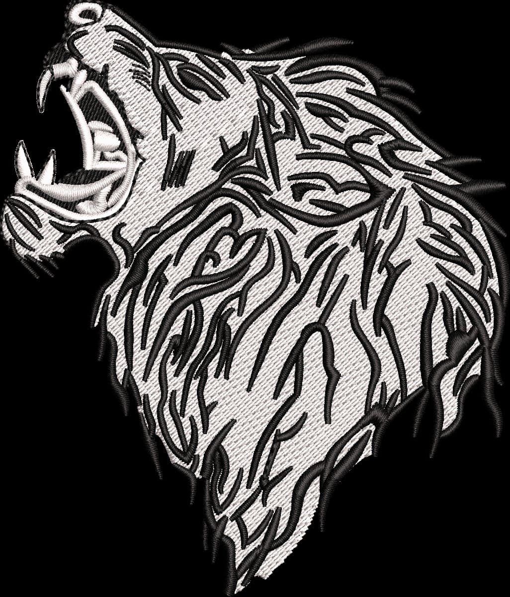 Embroidery Digitizing Overview